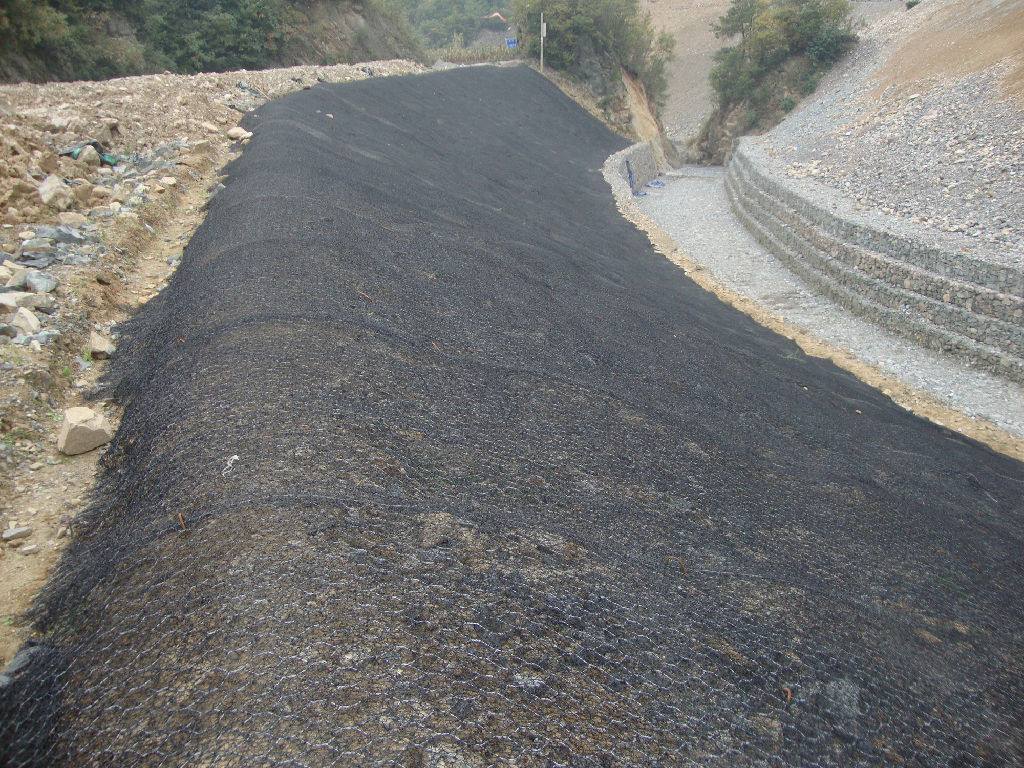 加筋麥克墊生態治理 加筋麥克墊生態治理